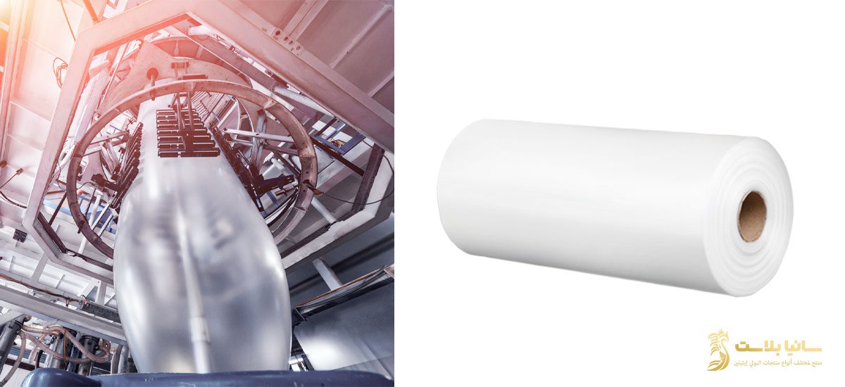 اكياس رول | اكياس رول صغيره | اكياس رول البلاستيك | اكياس رول صغير | اكياس رول صغيره | اكياس بلاستيك رول | اكياس بلاستيك شفاف رول | رولات اكياس بلاستيك | رولات اكياس بلاستيك للبيع | مصانع رولات اكياس بلاستيك | رول بلاستك | رول اكياس البلاستيك | كيس رول | كيس رول شفاف | كيس رول ابيض | كيس رول صغير | رول اكياس بلاستيك | رول اكياس | نايلون رول | نايلون رول كبير | نايلون رول سميك | نايلون رول شفاف | رولات نايلون | نايلون رول تغليف | اماكن بيع رولات اكياس البلاستيك | سعر طن رول البلاستيك | رول بلاستيك شفاف سميك | سعر رول بلاستيك | سعر رول بلاستيك شفاف في مصر | كم سعر رول بلاستيك شفاف | سعر متر رول بلاستيك شفاف | مصنع رول بلاستيك | مصانع رولات اكياس بلاستيك | انواع رولات البلاستيك | رول بلاستيك pvc | اماكن بيع رولات اكياس البلاستيك | اماكن بيع اكياس بلاستيك بالجملة | أسعار رولات اكياس البلاستيك | أماكن بيع رولات الاكياس | رول بلاستيك للبناء | اكياس لحم رول | رول نايلون 1000 ميكرون | اكياس نايلون رول | رول نايلون اسود