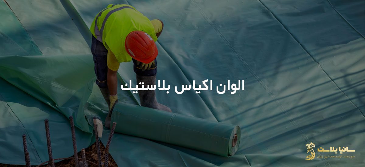 اكياس رول | اكياس رول صغيره | اكياس رول البلاستيك | اكياس رول صغير | اكياس رول صغيره | اكياس بلاستيك رول | اكياس بلاستيك شفاف رول | رولات اكياس بلاستيك | رولات اكياس بلاستيك للبيع | مصانع رولات اكياس بلاستيك | رول بلاستك | رول اكياس البلاستيك | كيس رول | كيس رول شفاف | كيس رول ابيض | كيس رول صغير | رول اكياس بلاستيك | رول اكياس | نايلون رول | نايلون رول كبير | نايلون رول سميك | نايلون رول شفاف | رولات نايلون | نايلون رول تغليف | اماكن بيع رولات اكياس البلاستيك | سعر طن رول البلاستيك | رول بلاستيك شفاف سميك | سعر رول بلاستيك | سعر رول بلاستيك شفاف في مصر | كم سعر رول بلاستيك شفاف | سعر متر رول بلاستيك شفاف | مصنع رول بلاستيك | مصانع رولات اكياس بلاستيك | انواع رولات البلاستيك | رول بلاستيك pvc | اماكن بيع رولات اكياس البلاستيك | اماكن بيع اكياس بلاستيك بالجملة | أسعار رولات اكياس البلاستيك | أماكن بيع رولات الاكياس | رول بلاستيك للبناء | اكياس لحم رول | رول نايلون 1000 ميكرون | اكياس نايلون رول | رول نايلون اسود