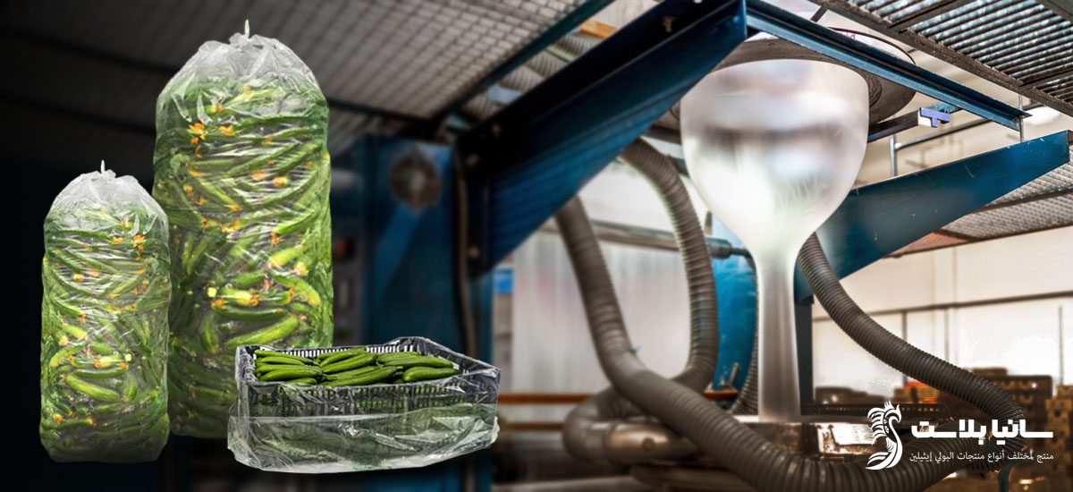 نایلون خیاری | قیمت نایلون خیاری | فروش نایلون خیاری | تولید نایلون خیاری | کیسه نایلون خیاری | تولیدی نایلون خیاری | سایز نایلون خیاری | پلاستیک خیاری قیمت | خرید پلاستیک خیاری | پلاستیک خیاری | وزن پلاستیک خیاری | سایز پلاستیک خیاری