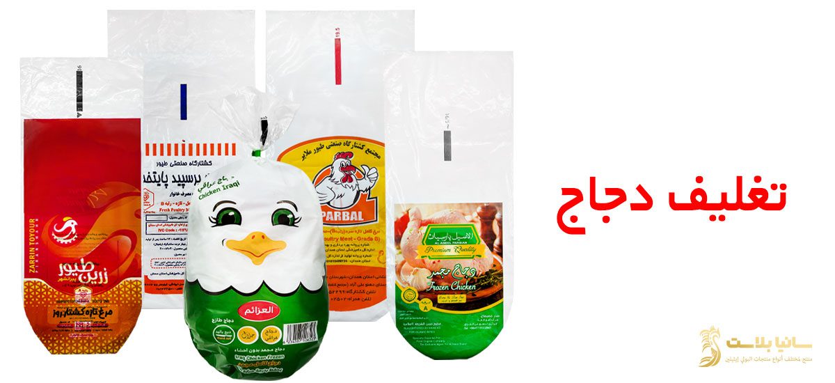 تغليف دجاج | اكياس تغليف دجاج | تغليف الدجاج | اكياس دجاج | اكياس تغليف دجاج | اكياس الدجاج | تصميم اكياس دجاج | كيس دجاج | اكياس الدواجن | ماكينة تغليف دجاج | تغليف دواجن | اكياس دجاج حرارية | اكياس دجاج مبرد | اكياس دجاج مجمد | اكياس تغليف الدجاج | ماكينة تغليف الدجاج | طرق تغليف الدجاج | نايلون دجاج | طباعة اكياس دجاج